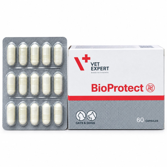 Bioprotect Vet Expert – Suport pentru Sistemul Digestiv și Imunitate – 60 Capsule
